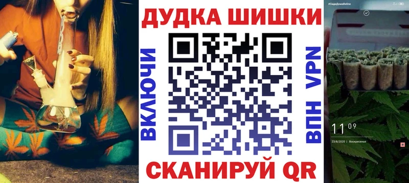 Купить закладки  Гаврилов-Ям  Бошки марихуана сатива 